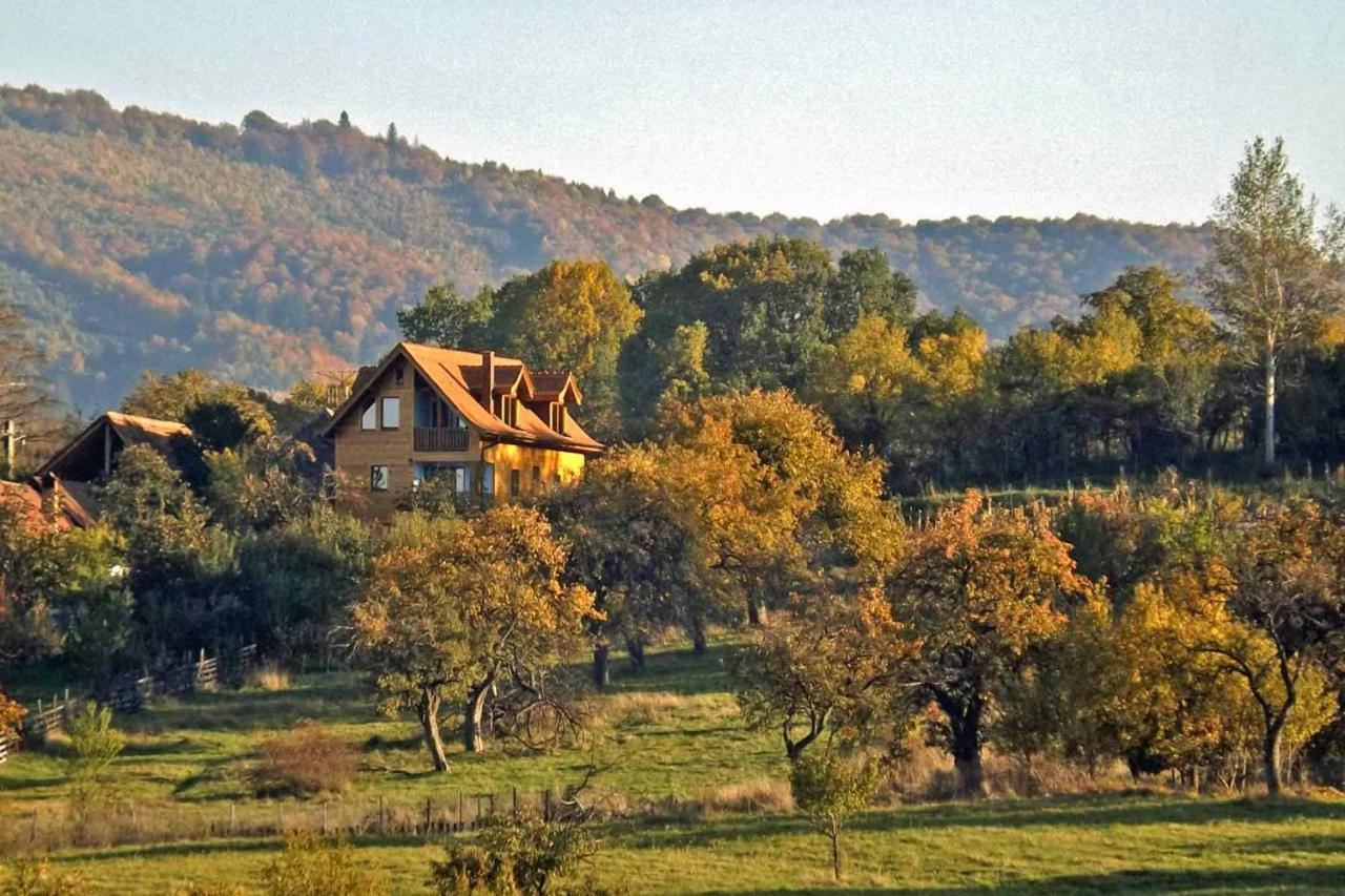 شقة Casa Zollo Sălişte المظهر الخارجي الصورة