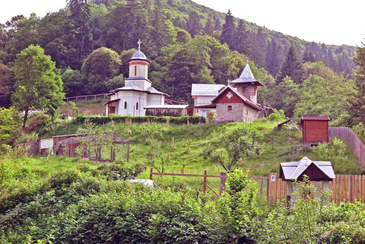شقة Casa Zollo Sălişte المظهر الخارجي الصورة